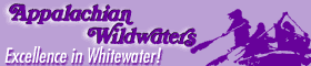 Banner Example