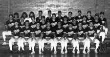 1989 Elkins High School Baseball Team