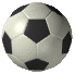 Soccerball2.gif (14288 bytes)