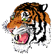 tiger1a.gif (108×114)